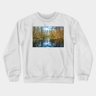 Swamp in Southeastern Georgia Crewneck Sweatshirt